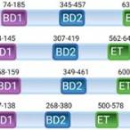 bet domains